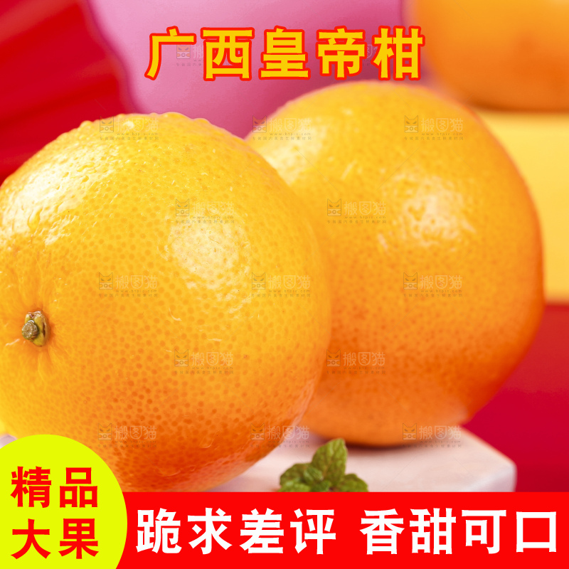 石盘上的广西皇帝柑