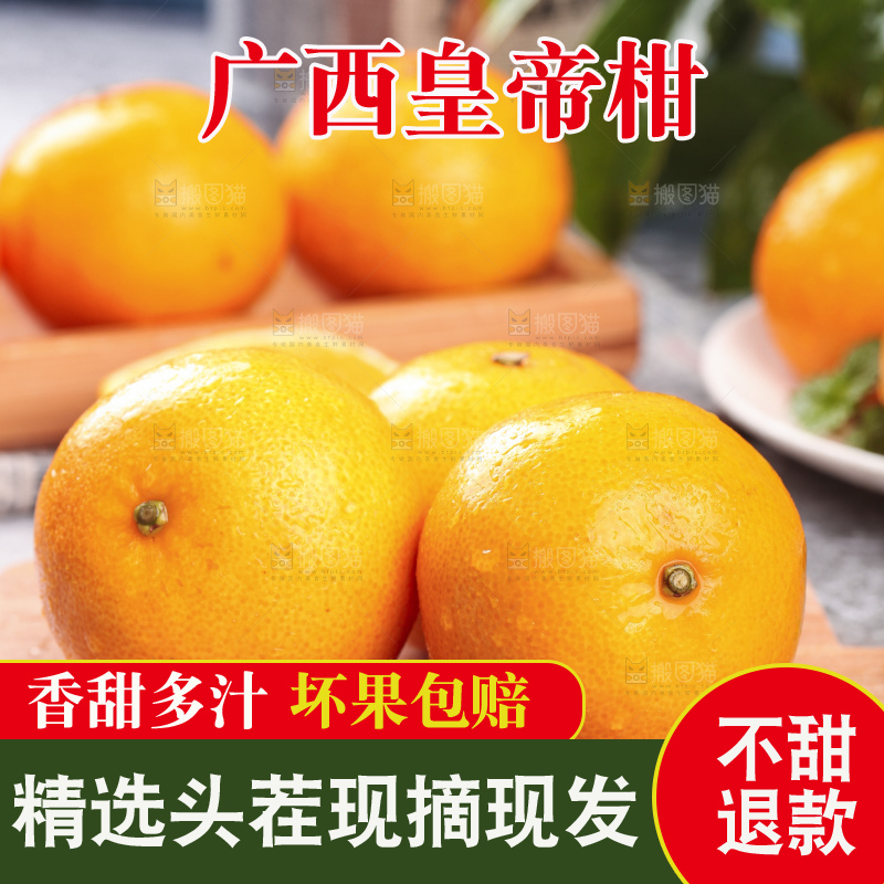 木板上的皇帝贡柑