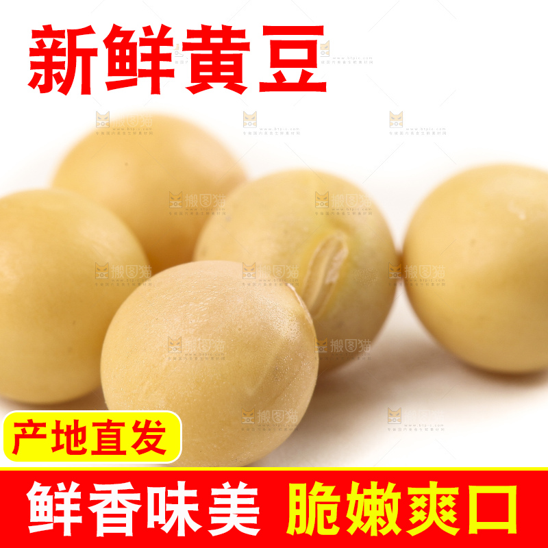白底上的黄豆粒