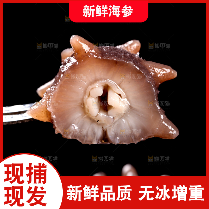 叉子叉着海参