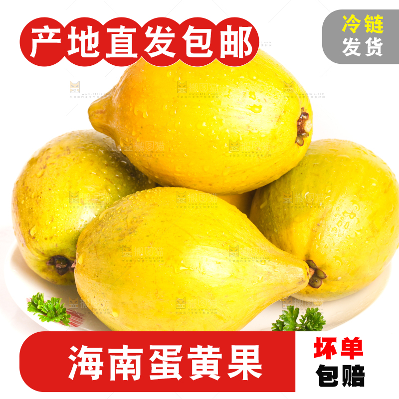 白底上的新鲜鸡蛋果