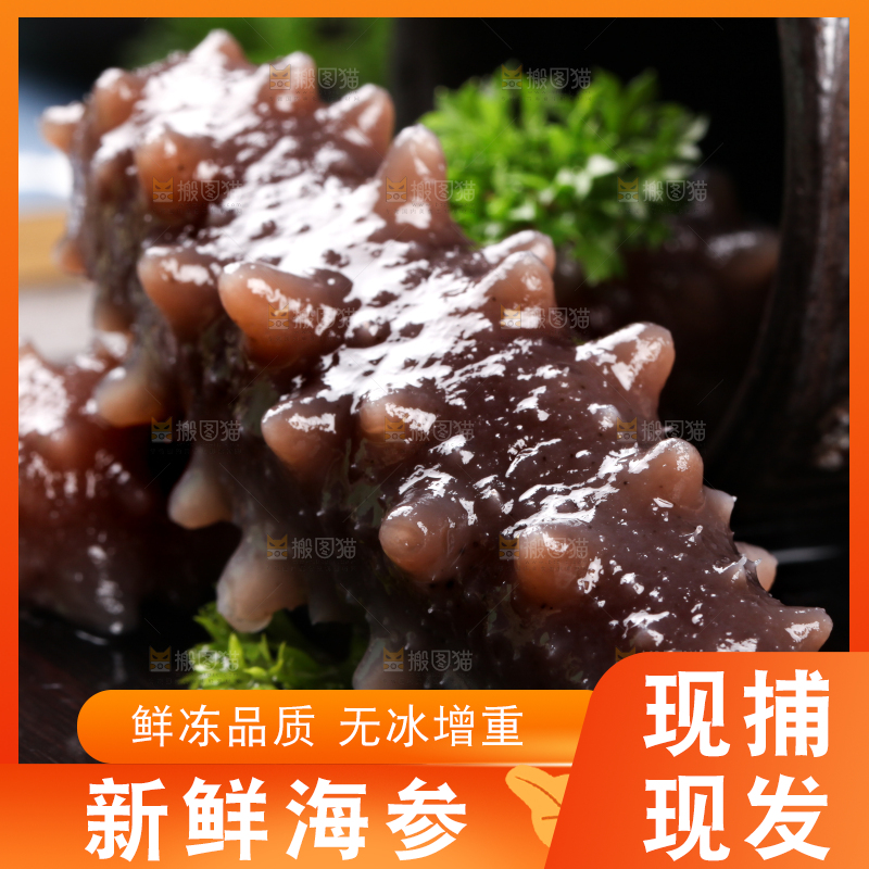 黑底上的海参