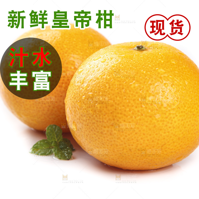 白底上的新鲜皇帝柑