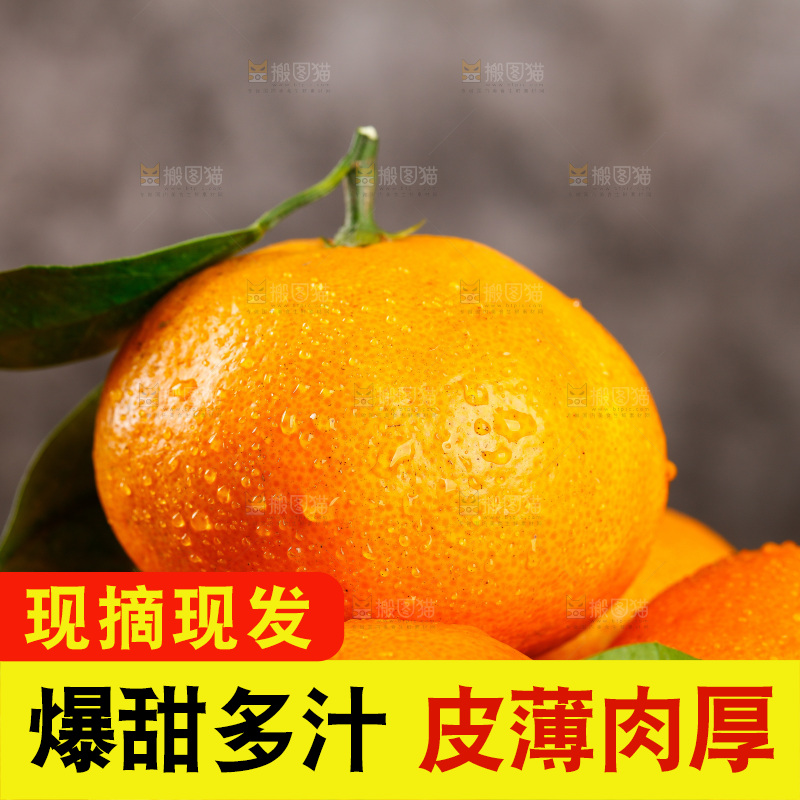 篮子里放着蜜橘