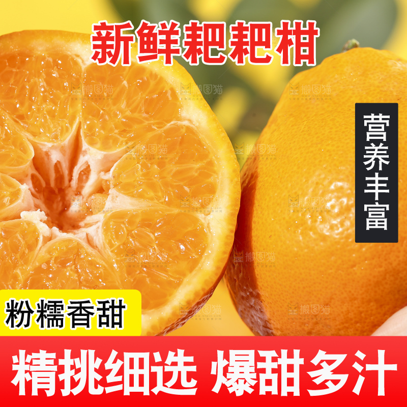 手拿切开的春见耙耙柑