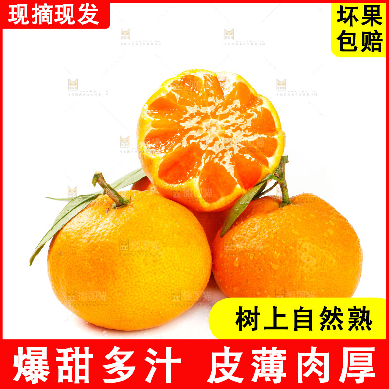 白底上摆放着蜜橘
