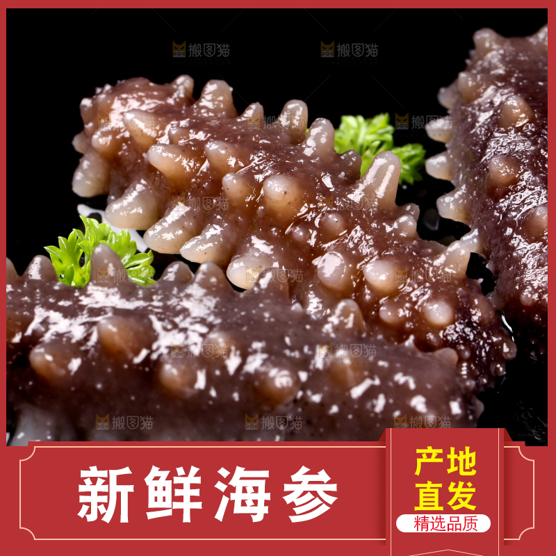 黑底上的刺参