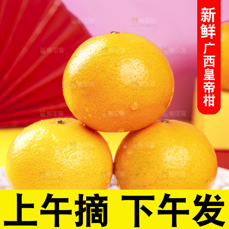 石盘上的广西皇帝柑