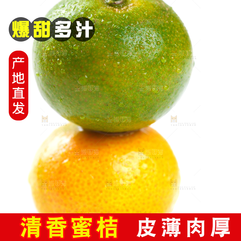 白底上的桂林清香蜜桔