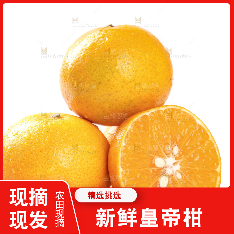 切开的皇帝贡柑放在白底上