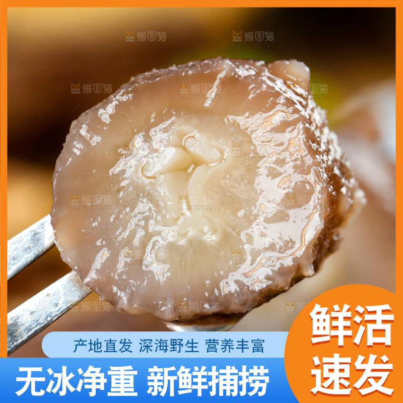 叉子叉着海参