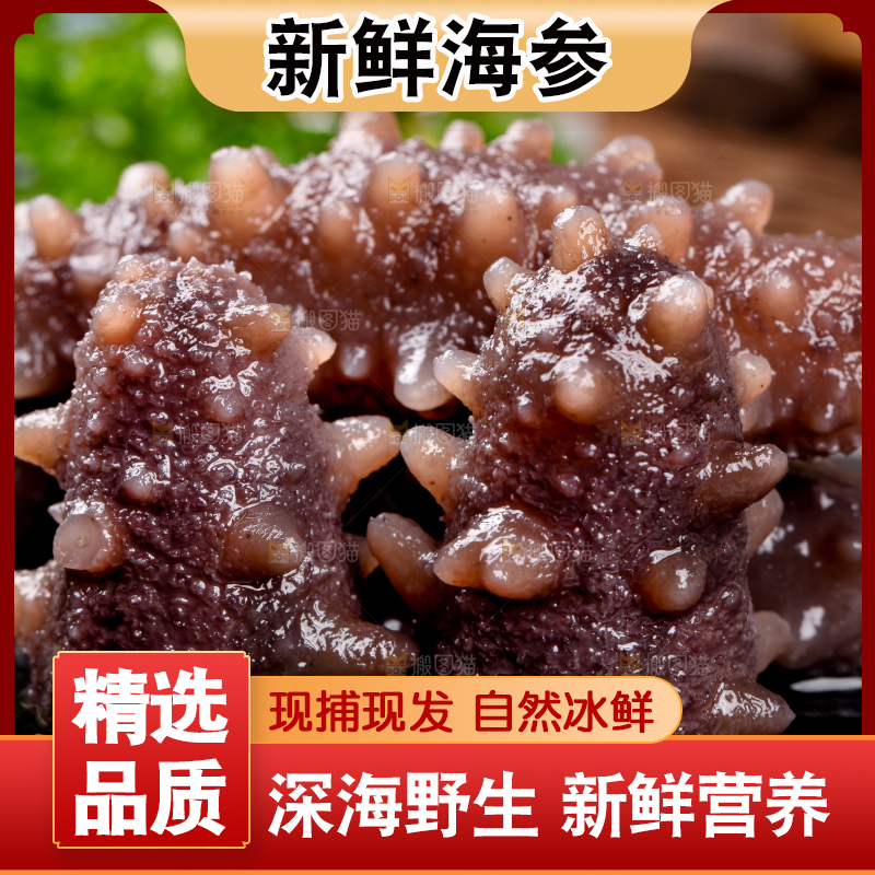 黑石板上的海参