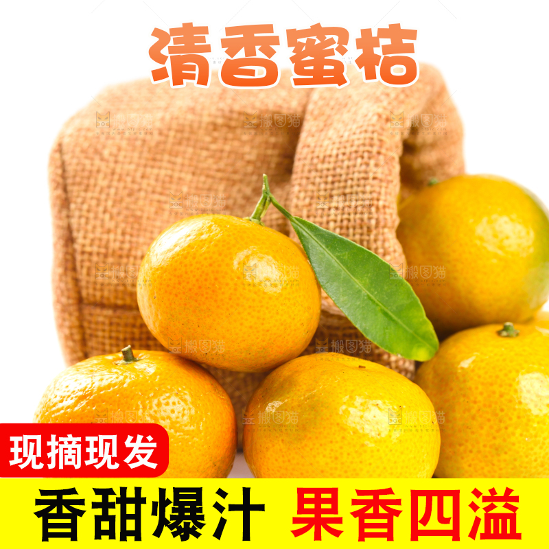 白底上的桂林清香蜜桔
