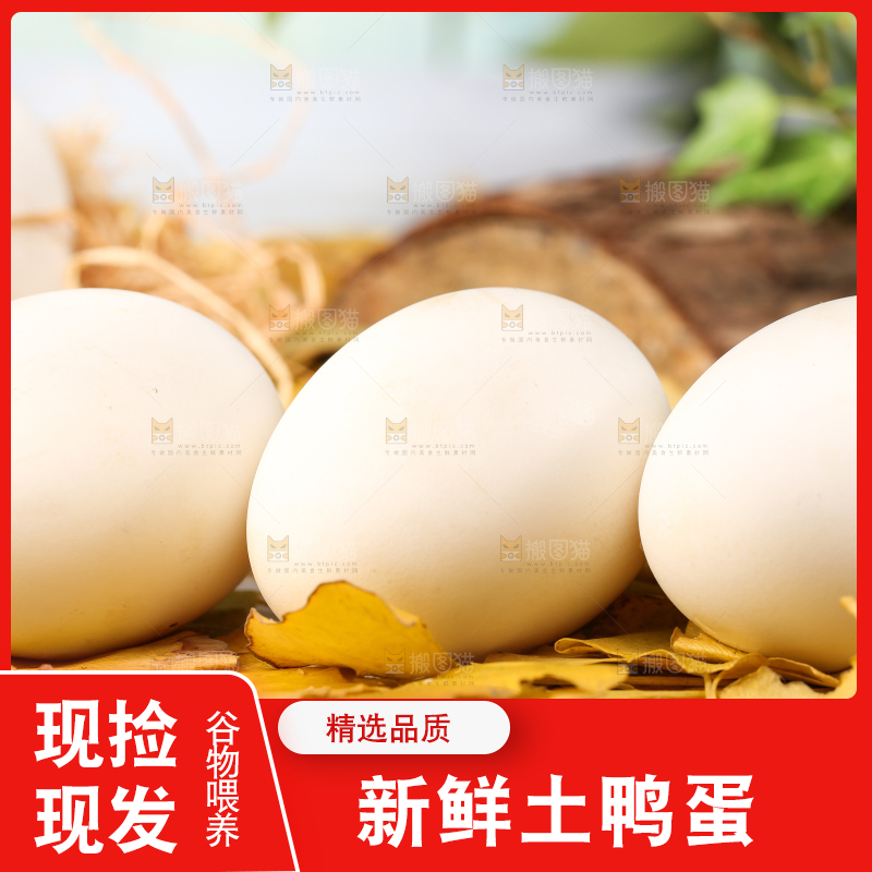 树叶上的鲜鸭蛋
