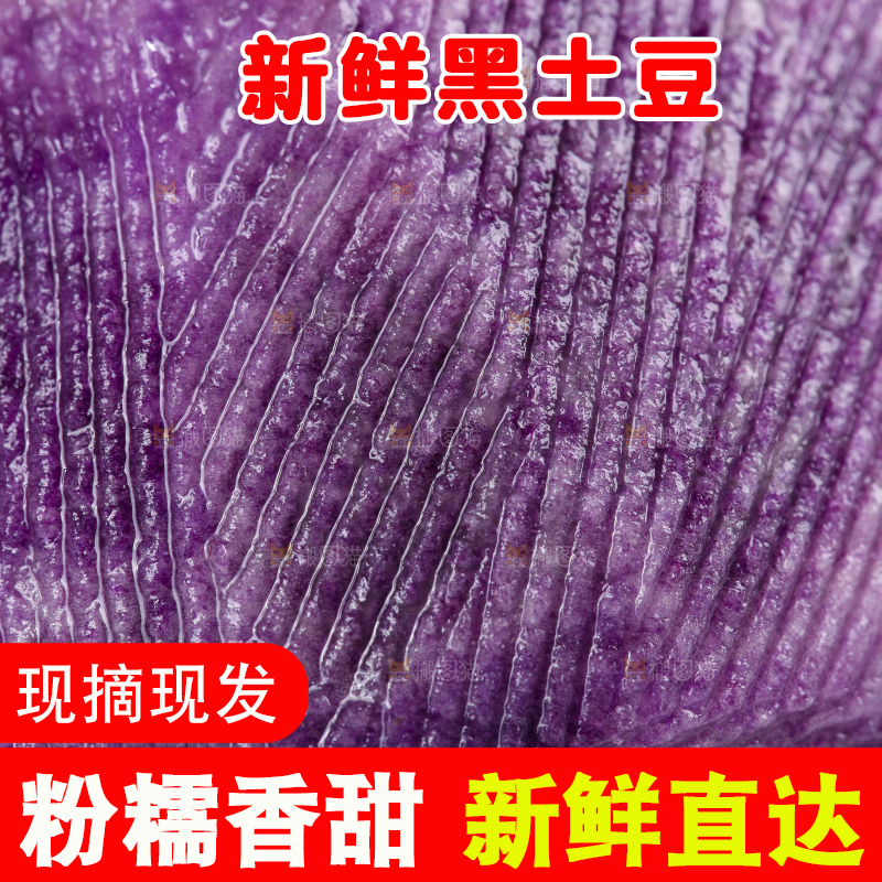 白底上的黑紫马铃薯
