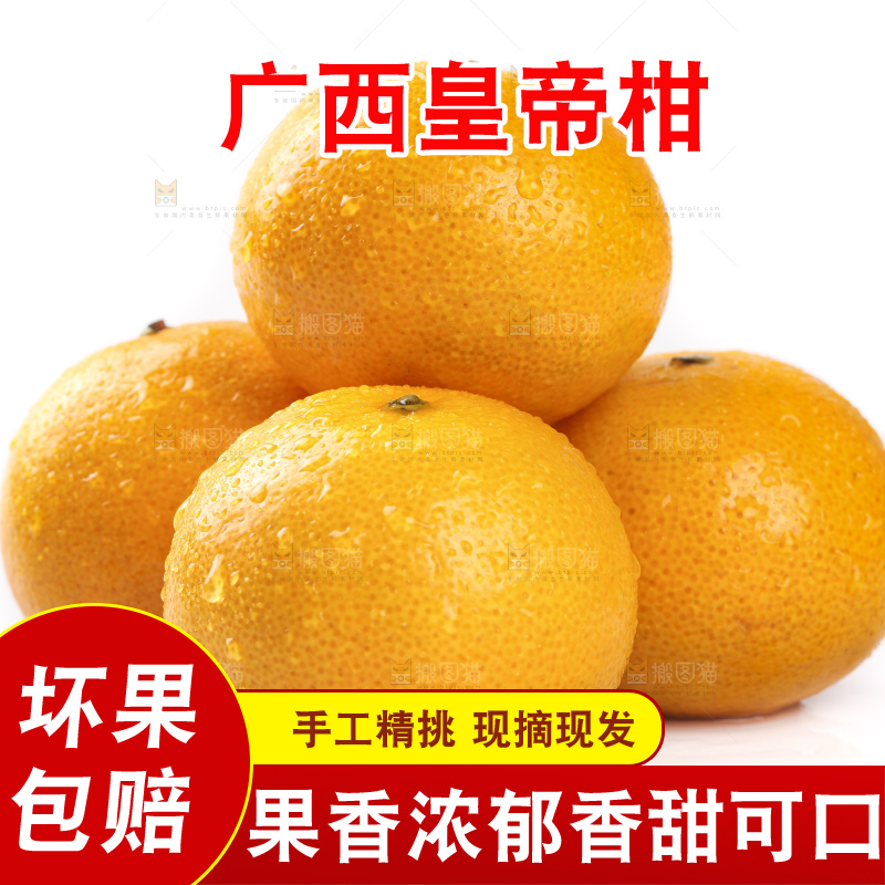 白底上的广西皇帝柑