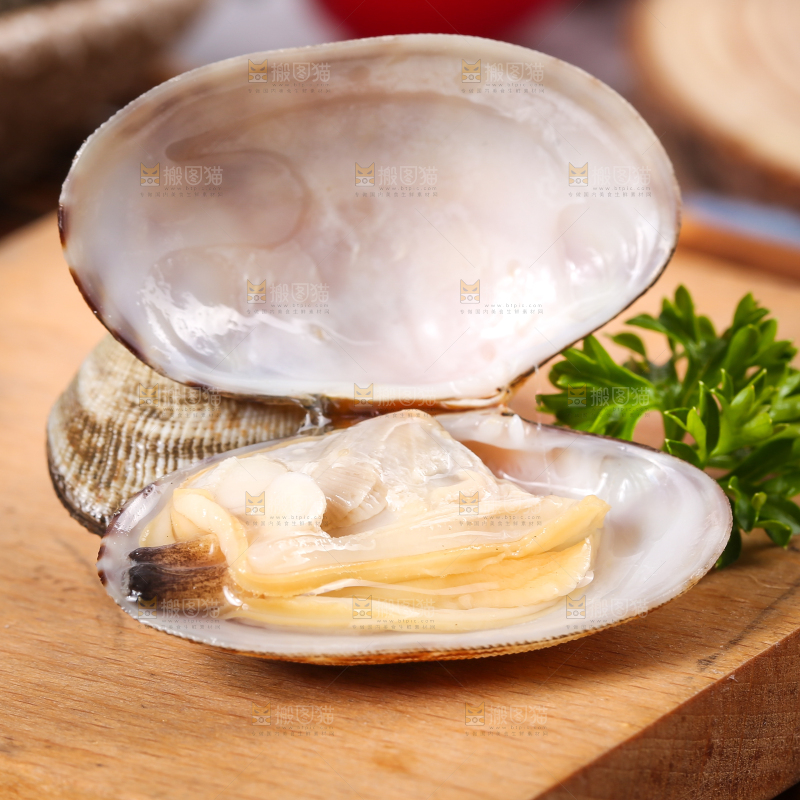 木底上张开的花甲