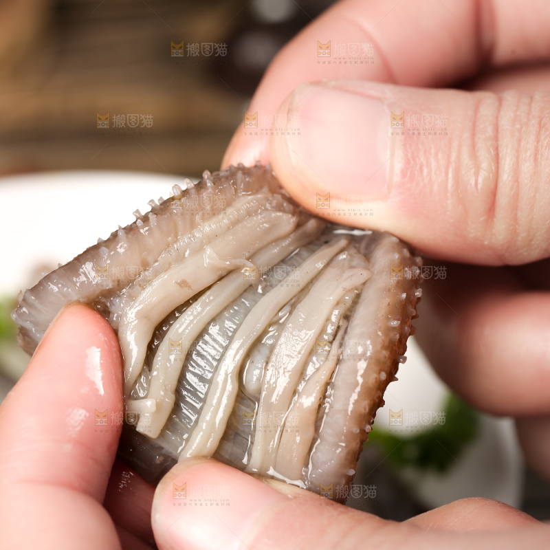 手拿海参