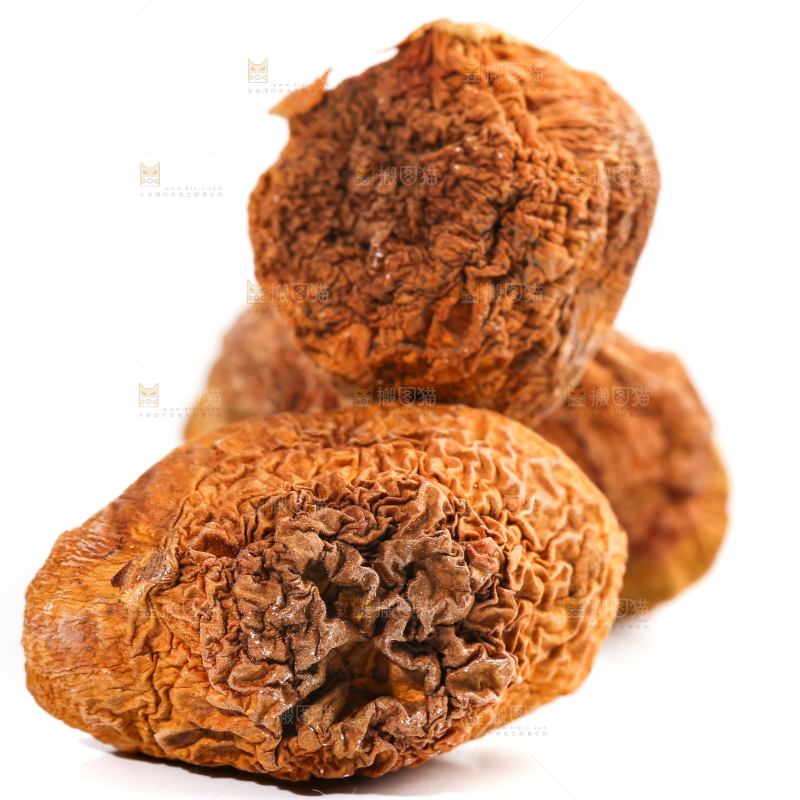白底上的姬松茸