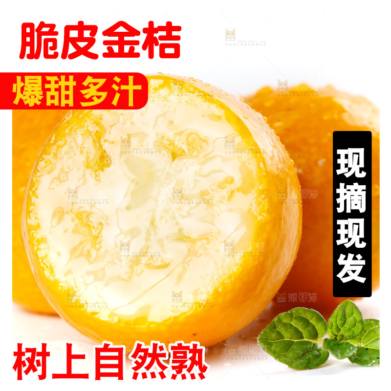 白底上放着小金桔