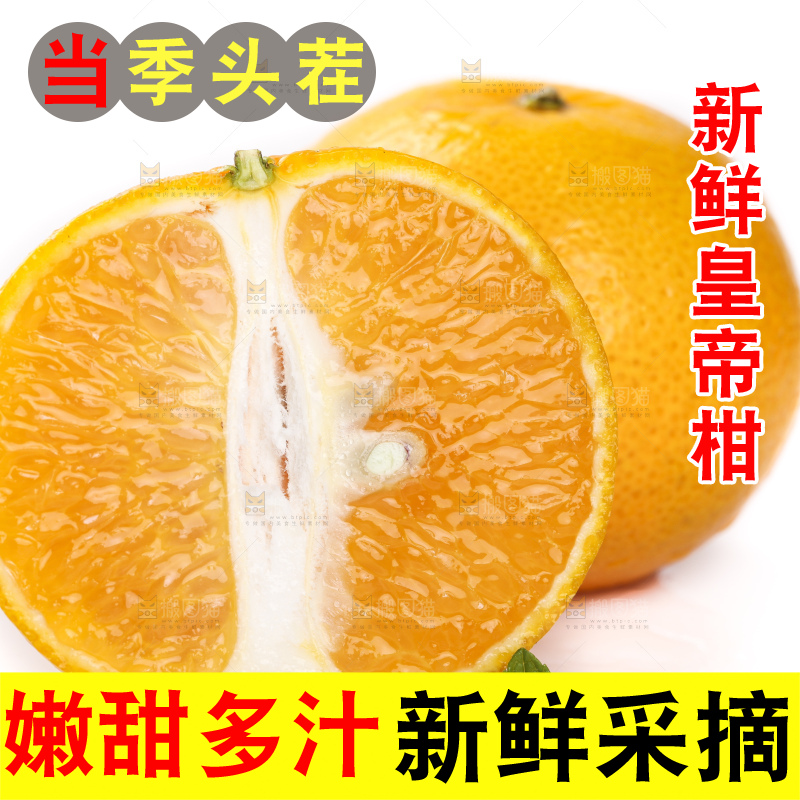 切开的皇帝贡柑放在白底上