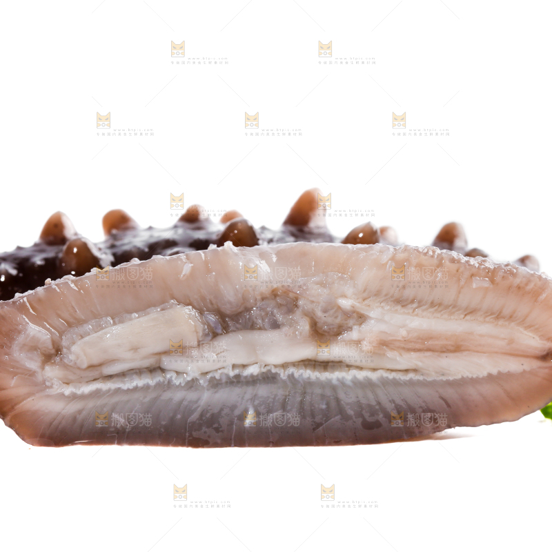 切开的刺参放在白底上