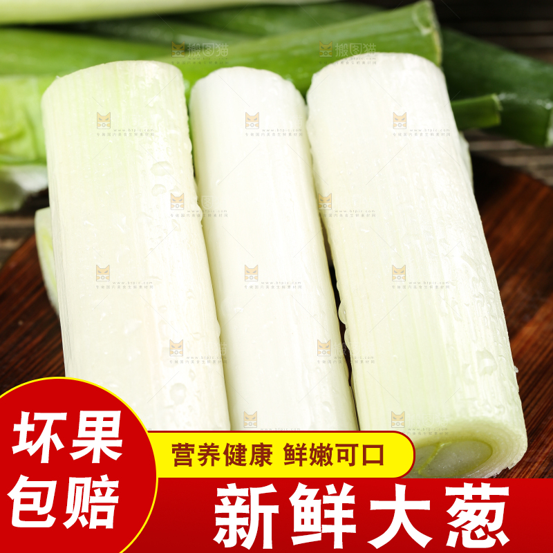 木底上的山东大葱