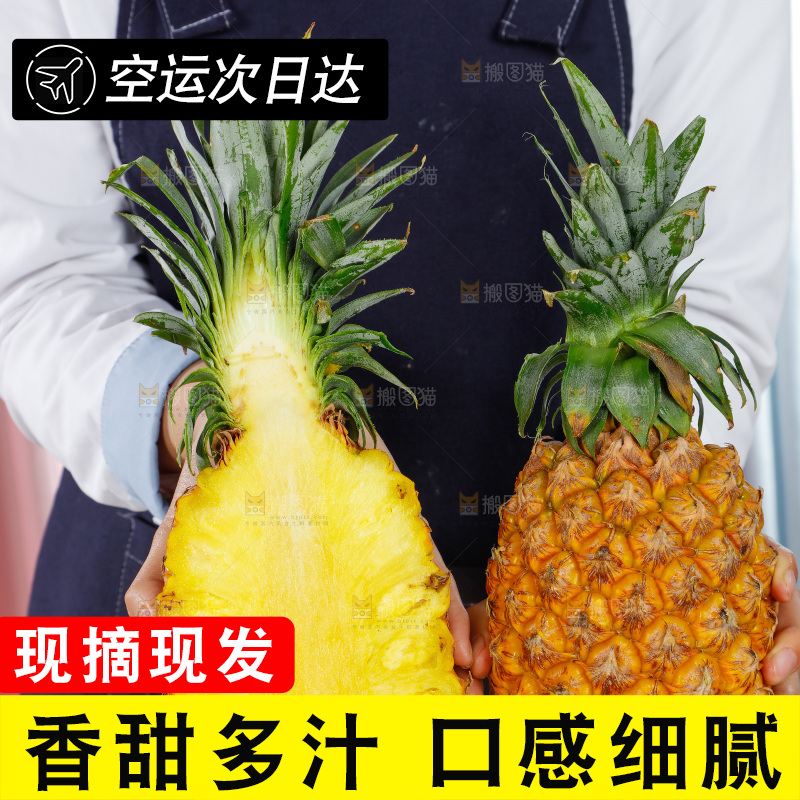 手里拿着凤梨