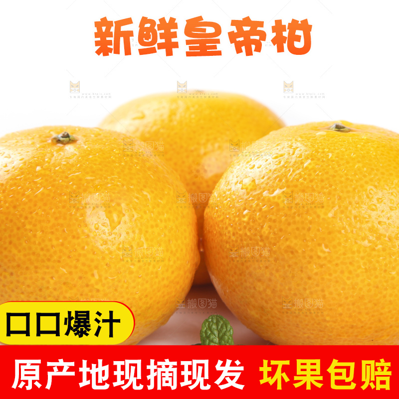 白底上的广西皇帝柑