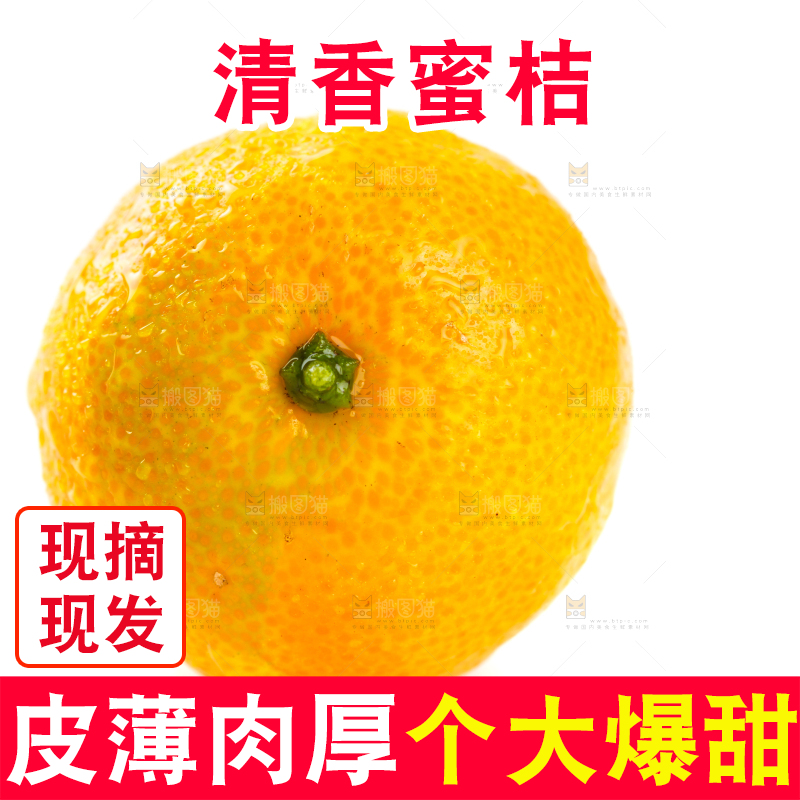 白底上的桂林清香蜜桔