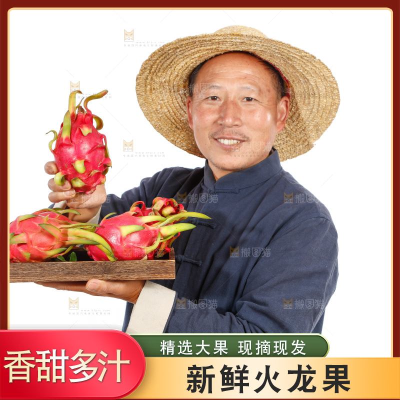 农民手里端着火龙果