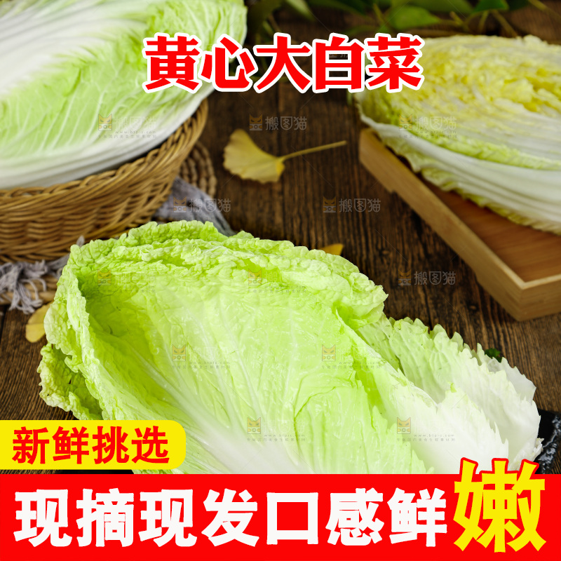 黑石板上的大白菜