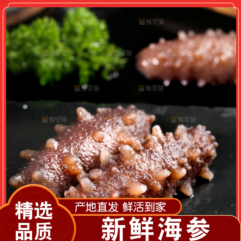 黑石板上的海参
