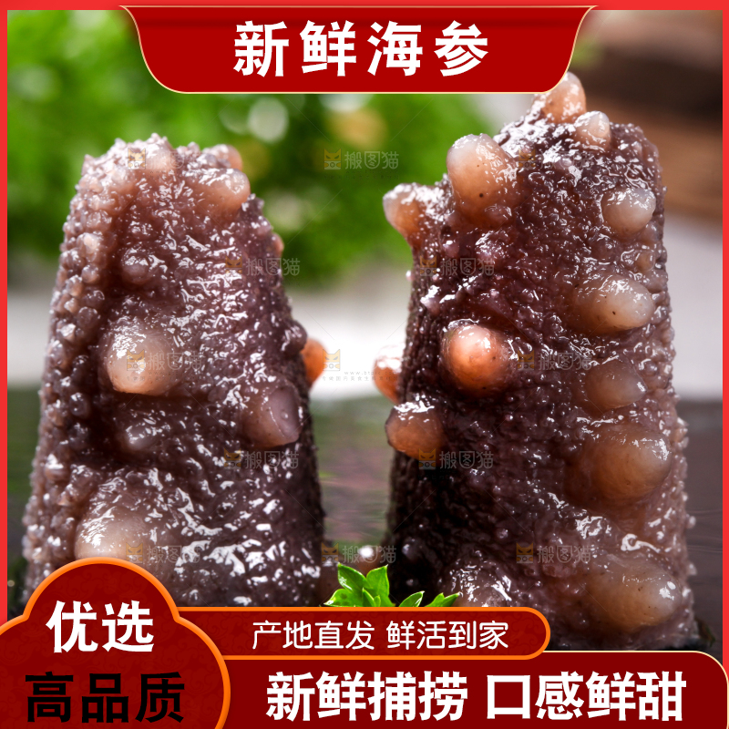 黑石板上的海参
