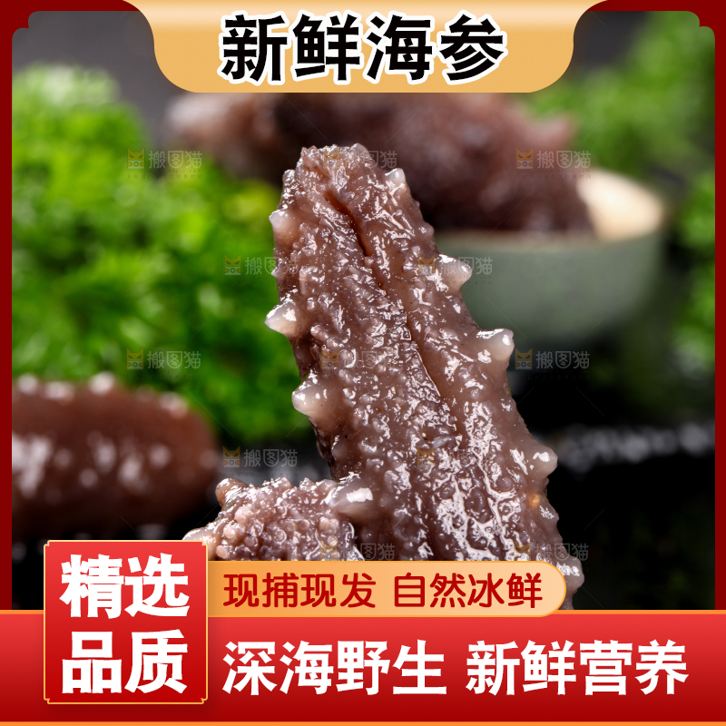 黑石板上的海参
