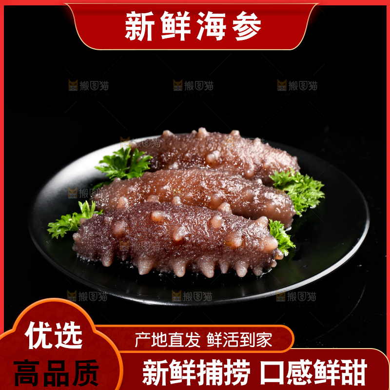 黑底上放着一盘刺参