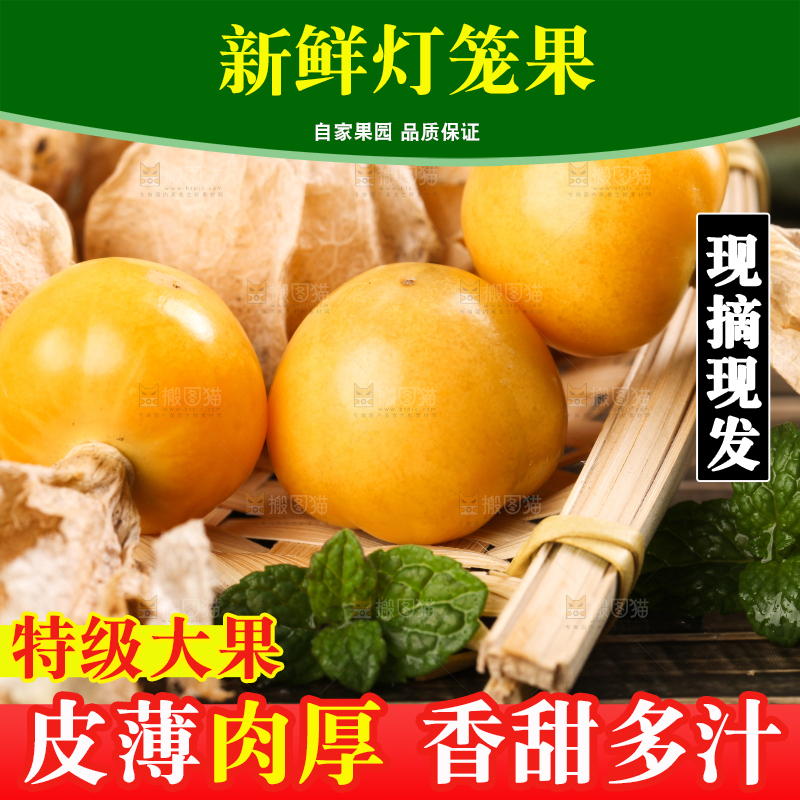 竹篮里放着菇娘果