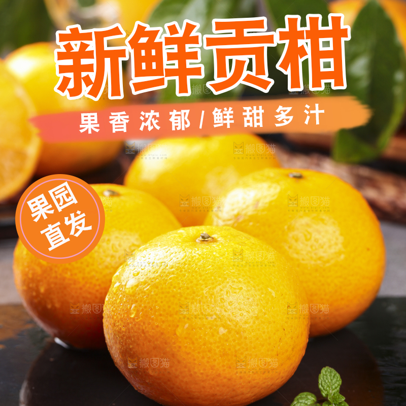 黑底上的皇帝柑