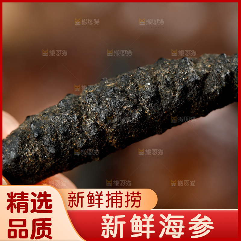 手拿干海参