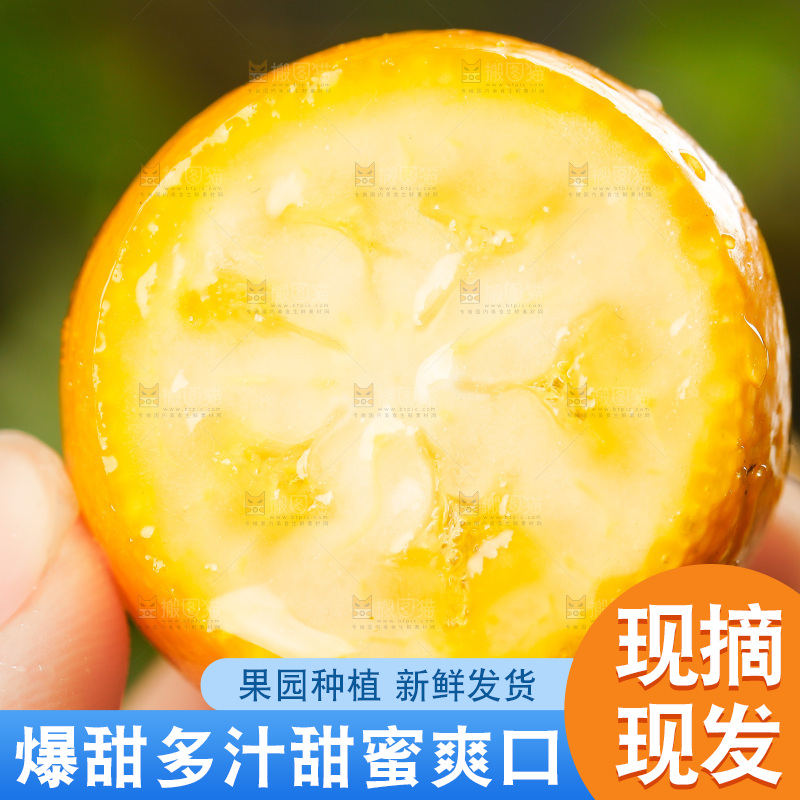 手里拿着小金桔