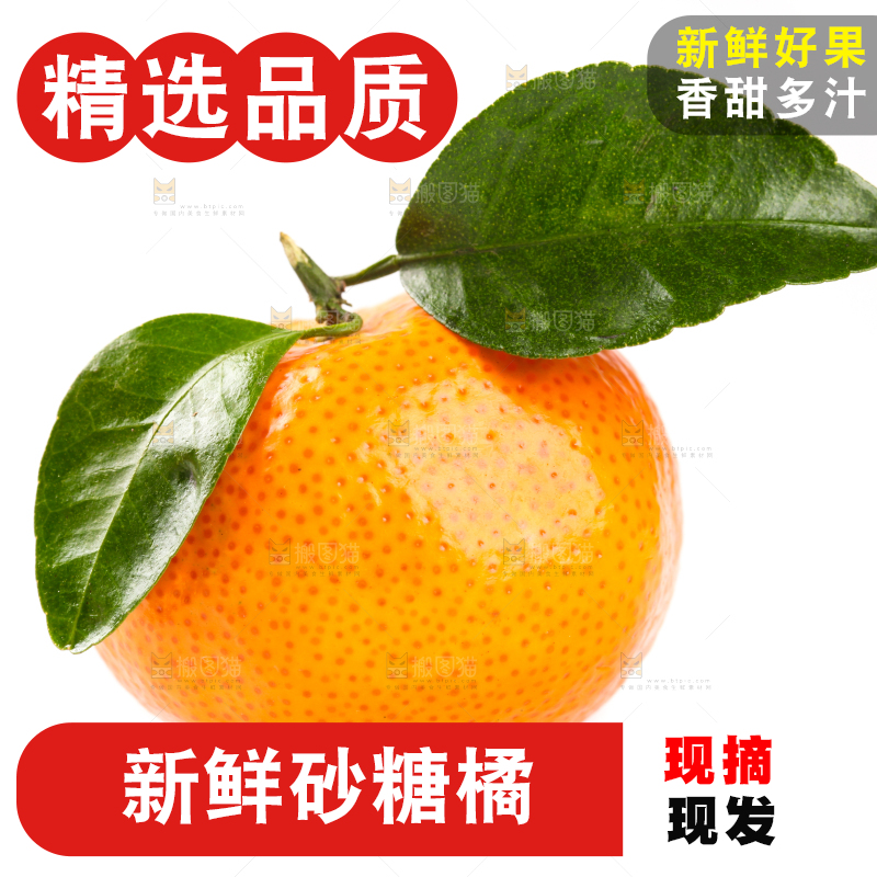 白底上的砂糖橘