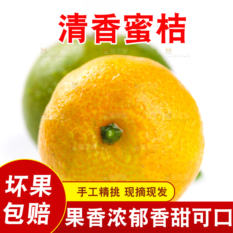 白底上的桂林清香蜜桔