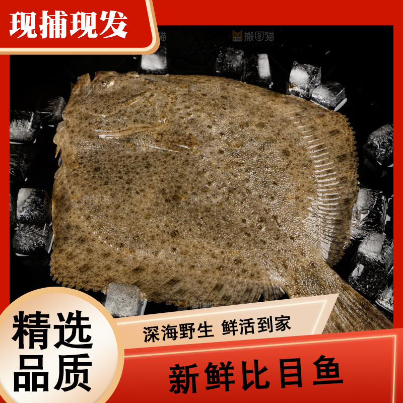 黑底上摆放着比目鱼