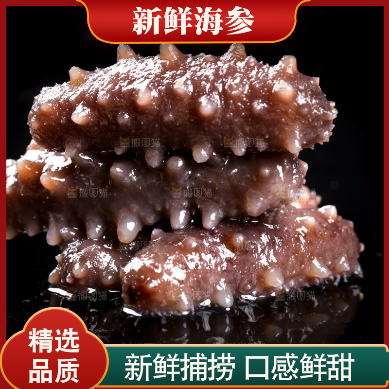 黑底上的刺参