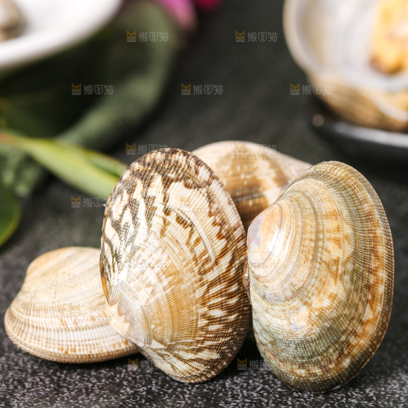 黑底上的花甲