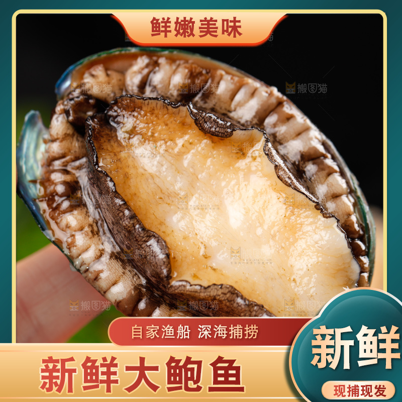 深底上放着一盘鲜鲍鱼