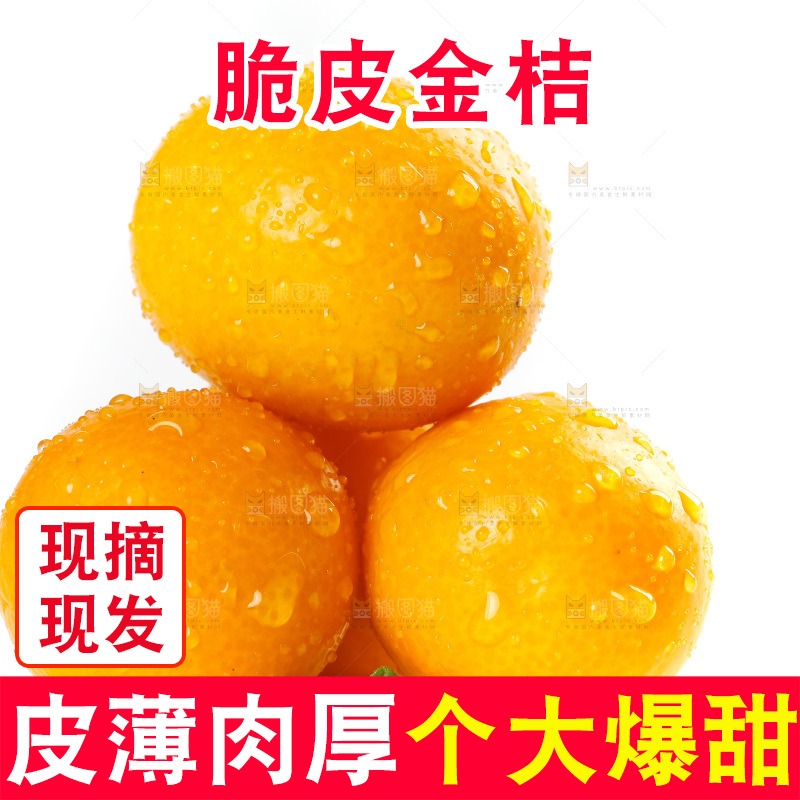 白底上放着小金桔