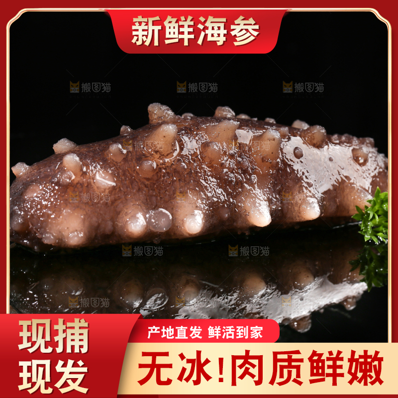 黑底上的海参
