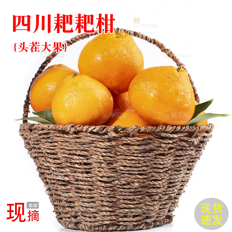 白底上放着一筐耙耙柑