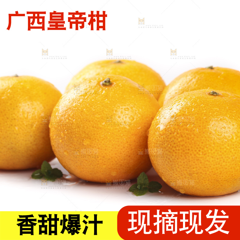 白底上的广西皇帝柑